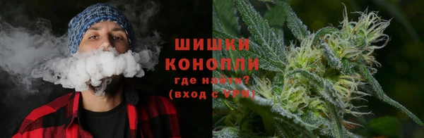 молекула духа Аркадак