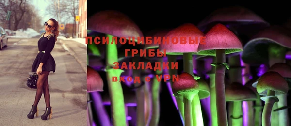 молекула духа Аркадак