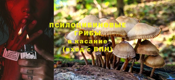 амф Арсеньев