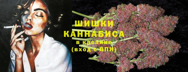 амф Арсеньев
